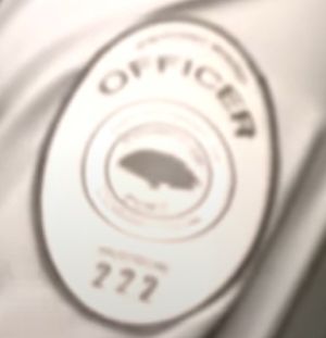PoetCountyJailBadge.jpg